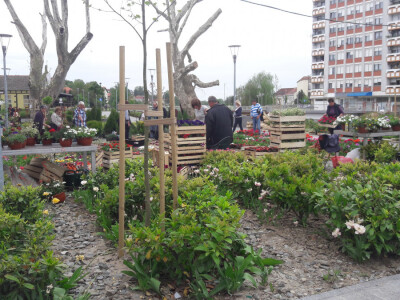 Turistička zajednica grada Vukovara