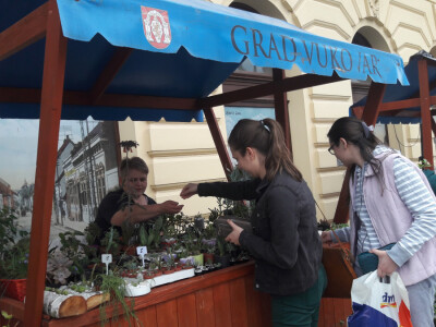 Turistička zajednica grada Vukovara
