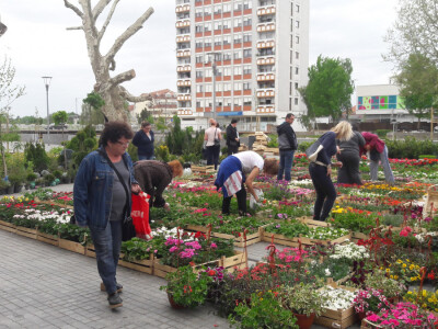 Turistička zajednica grada Vukovara