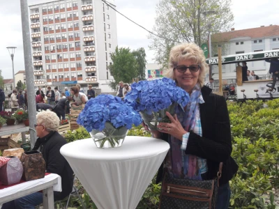Turistička zajednica grada Vukovara