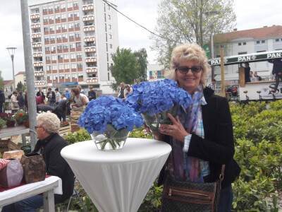 Turistička zajednica grada Vukovara