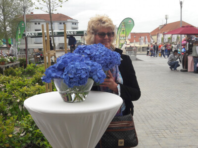 Turistička zajednica grada Vukovara