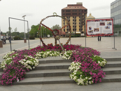 Turistička zajednica grada Vukovara