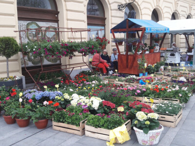 Turistička zajednica grada Vukovara
