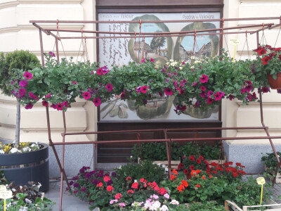 Turistička zajednica grada Vukovara