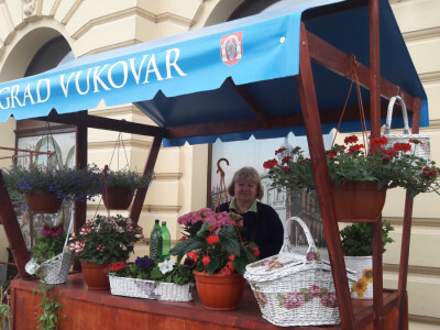 Turistička zajednica grada Vukovara