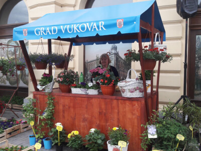 Turistička zajednica grada Vukovara