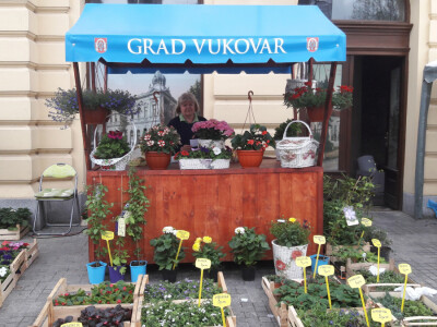 Turistička zajednica grada Vukovara