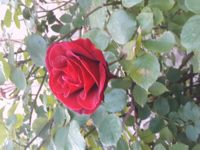 Večer vina i umjetnosti