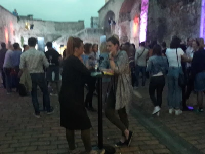 Večer vina i umjetnosti