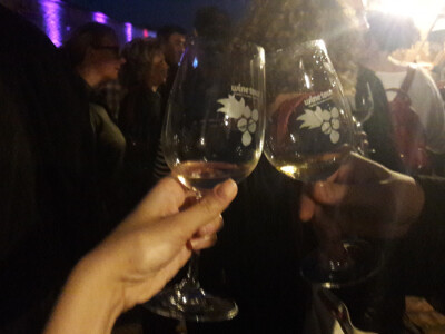 Večer vina i umjetnosti