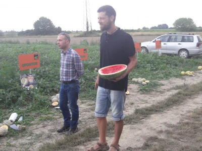 OPG Olić