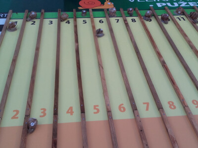 Pužijada u Benkovcu