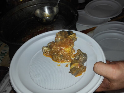 Pužijada u Benkovcu