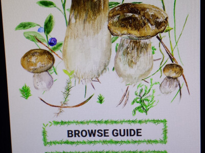 Češki programeri izmislili aplikaciju za raspoznavanje gljiva mobitelom Češki programeri izmislili aplikaciju za raspoznavanje gljiva mobitelom