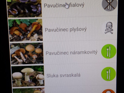 Češki programeri izmislili aplikaciju za raspoznavanje gljiva mobitelom Češki programeri izmislili aplikaciju za raspoznavanje gljiva mobitelom