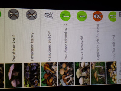 Češki programeri izmislili aplikaciju za raspoznavanje gljiva mobitelom Češki programeri izmislili aplikaciju za raspoznavanje gljiva mobitelom