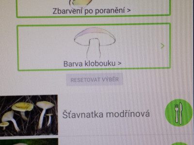 Češki programeri izmislili aplikaciju za raspoznavanje gljiva mobitelom Češki programeri izmislili aplikaciju za raspoznavanje gljiva mobitelom