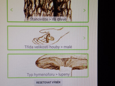 Češki programeri izmislili aplikaciju za raspoznavanje gljiva mobitelom Češki programeri izmislili aplikaciju za raspoznavanje gljiva mobitelom