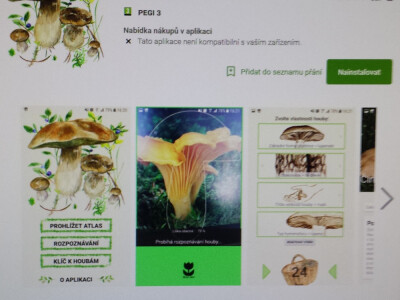 Češki programeri izmislili aplikaciju za raspoznavanje gljiva mobitelom Češki programeri izmislili aplikaciju za raspoznavanje gljiva mobitelom