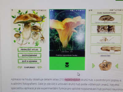 Češki programeri izmislili aplikaciju za raspoznavanje gljiva mobitelom Češki programeri izmislili aplikaciju za raspoznavanje gljiva mobitelom