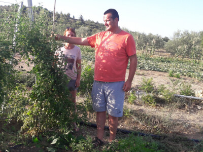 OPG Palinić OPG Palinić