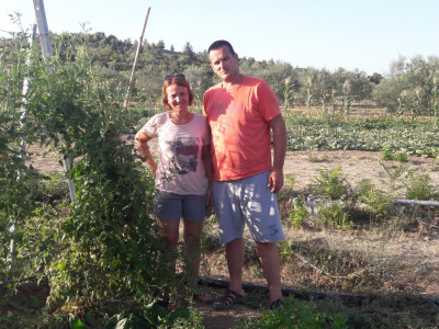 OPG Palinić OPG Palinić