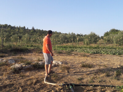 OPG Palinić OPG Palinić