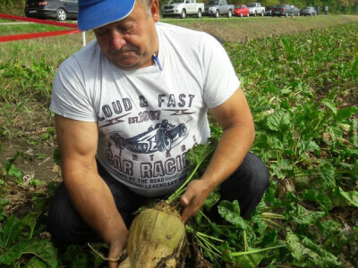 Mato Sabadoš, Andrijaševci Mato Sabadoš, Andrijaševci