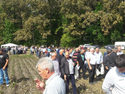 Proizvođači u obilasku pokusnog polja Proizvođači u obilasku pokusnog polja