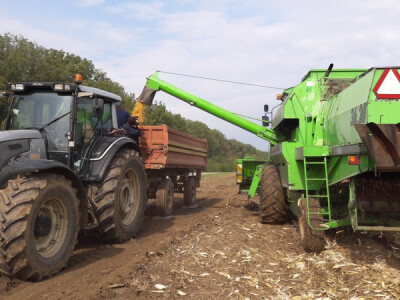 Kukuruzu je obran Kukuruzu je obran