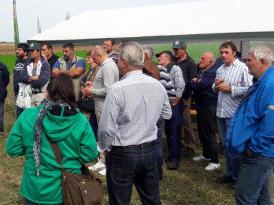 Na pokusnom polju Na pokusnom polju