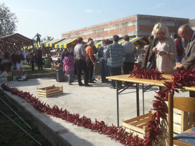 Paprika fest
