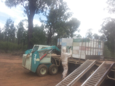 Vuk Bijelac, mladi pčelar