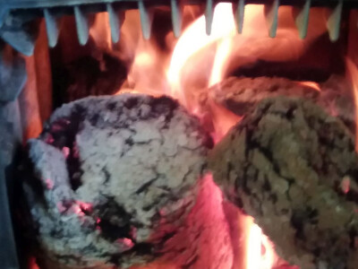 Proizvede 5-6 tona briketa