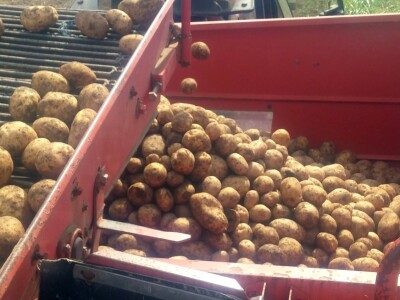 Vrankić j.d.o.o. Vrankić j.d.o.o.