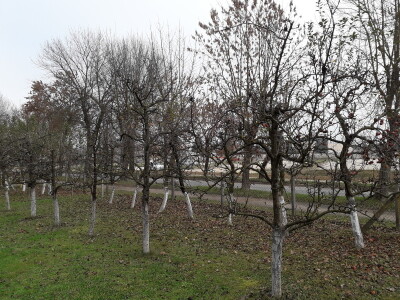 Prijedorska Hidrometerološka stanica s voćnjakom za primjer