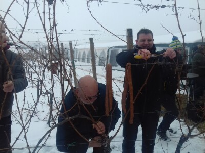 Vinceška u Mandićevcu