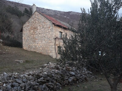 Maslinovo ulje iz Gruda tri godine zaredom osvaja priznanja Maslinovo ulje iz Gruda tri godine zaredom osvaja priznanja