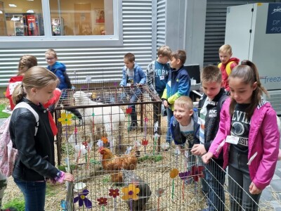 Festival znanosti  na FAZOS-u