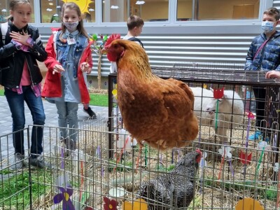 Festival znanosti  na FAZOS-u