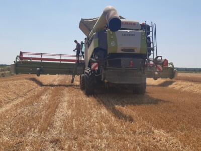 Claas Lexion 8900 demotour