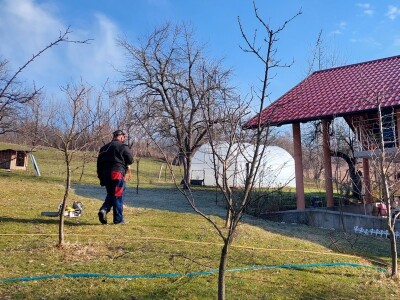 Zimska rezidba koštičavih voćaka