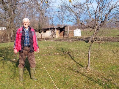 Zimska rezidba koštičavih voćaka