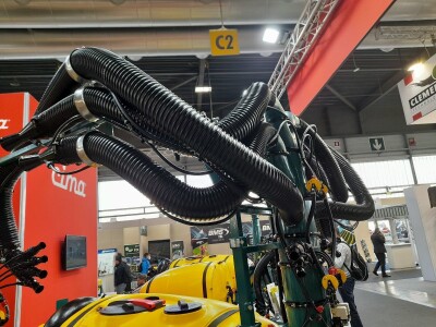 Zlatne medalje u Veroni