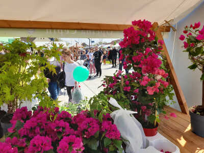 Prvi proljetni sajam u Čepinu