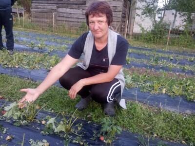 Mještani sela Boljkovac i Dobrošin gledali kako u nekoliko minuta nestaje sav njihov trud