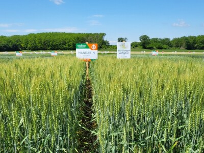 Tvrtka Mauthner na 30. Jesenskom međunarodno bjelovarskom sajmu