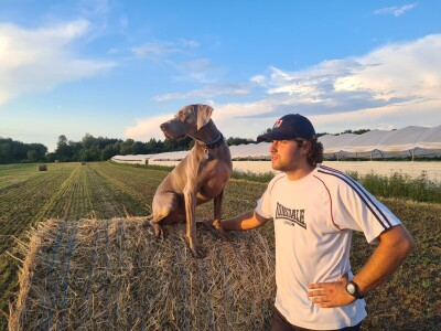 BACANJE PAPRIKE I KRASTAVACA U PODRAVINI