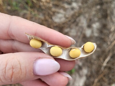 Tvrtka Mauthner na 30. Jesenskom međunarodno bjelovarskom sajmu